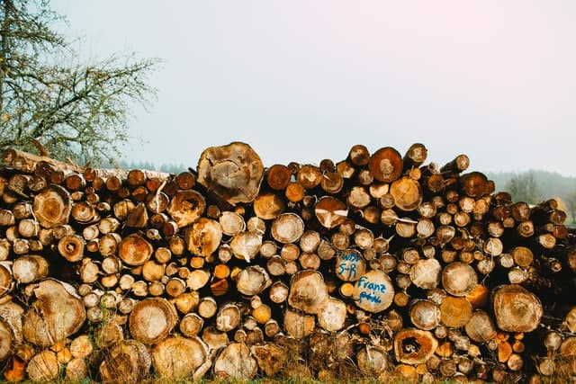 ウッドショック、木材価格が高騰した原因を解説します
