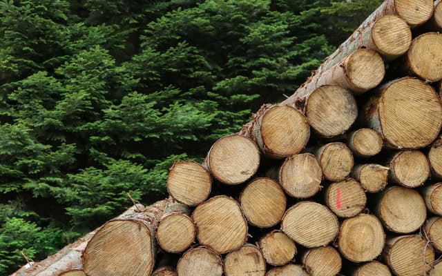 木材価格の高騰はいつまで続くのかについて解説します